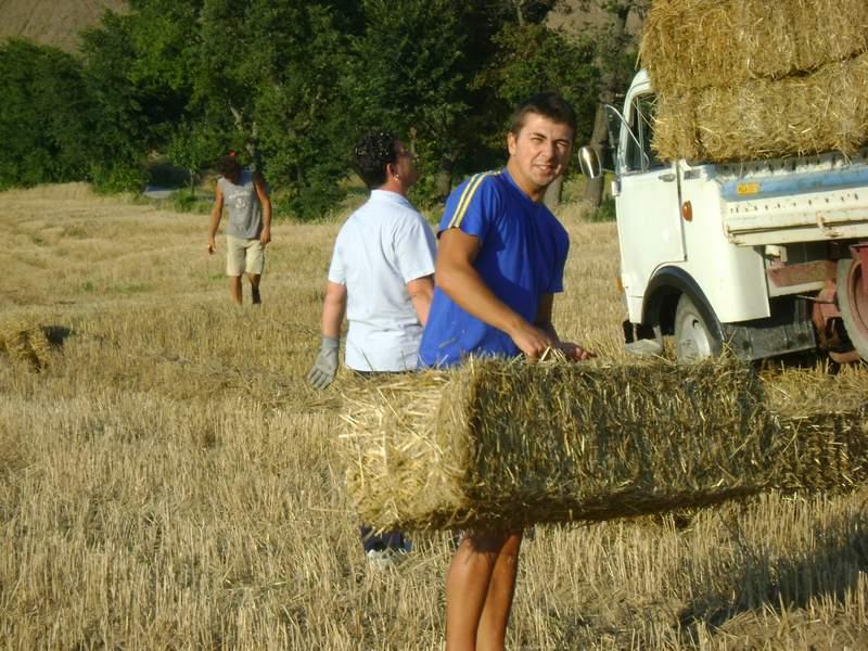 Preparazione campo (7).JPG